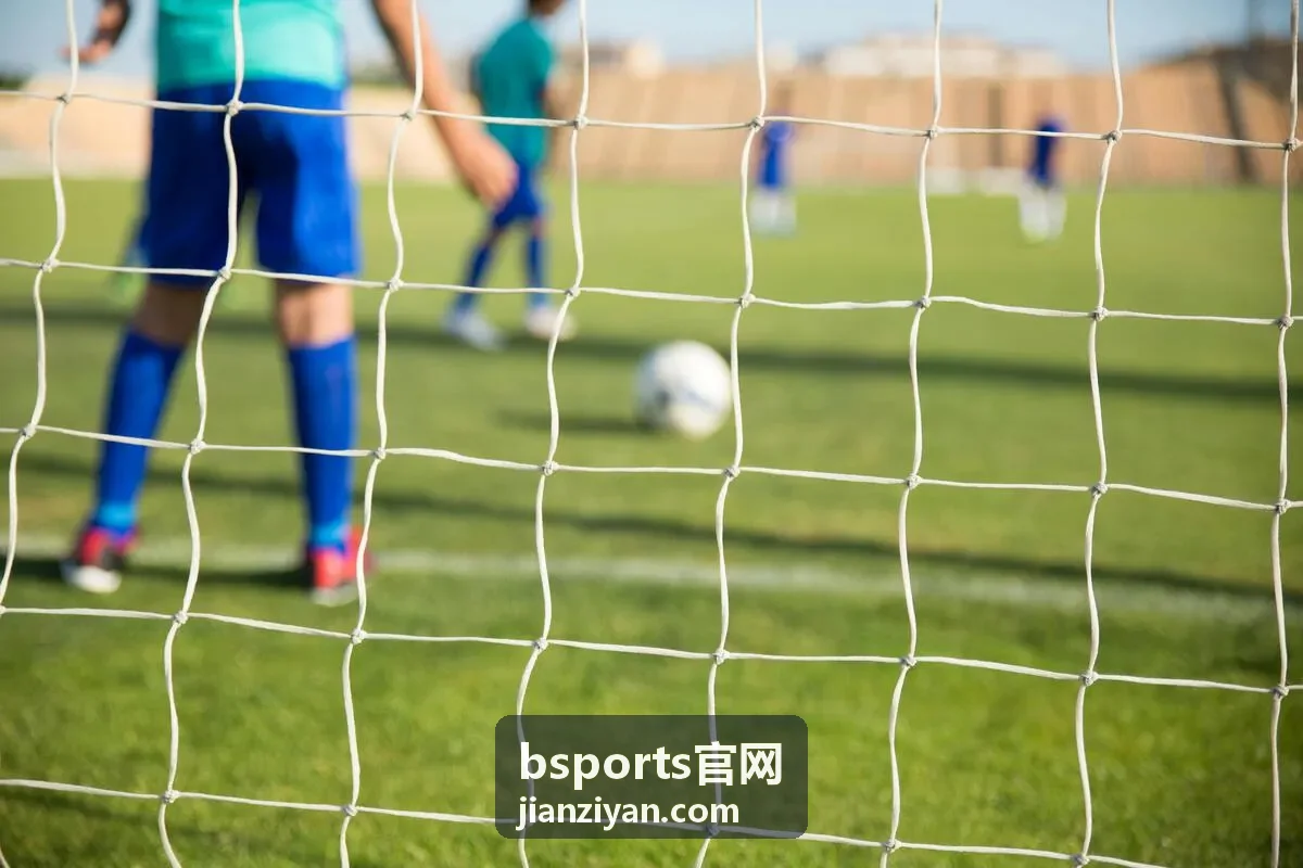 bsports官网数据对比视图